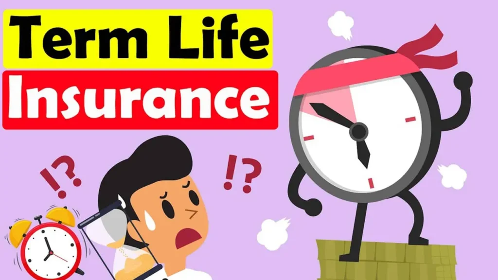 Difference Between Term Life Insurance and Whole Life Insurance